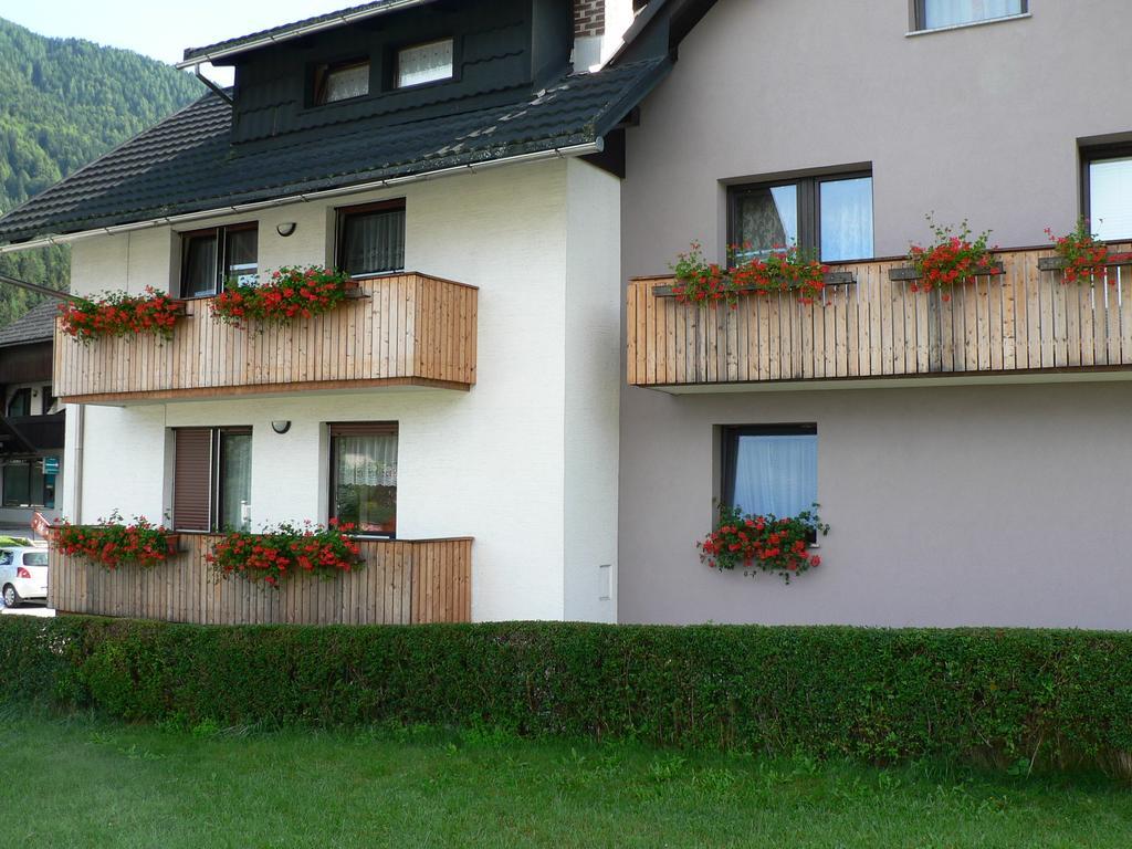 Apartments And Holiday Home Grohar Кранська Гора Номер фото